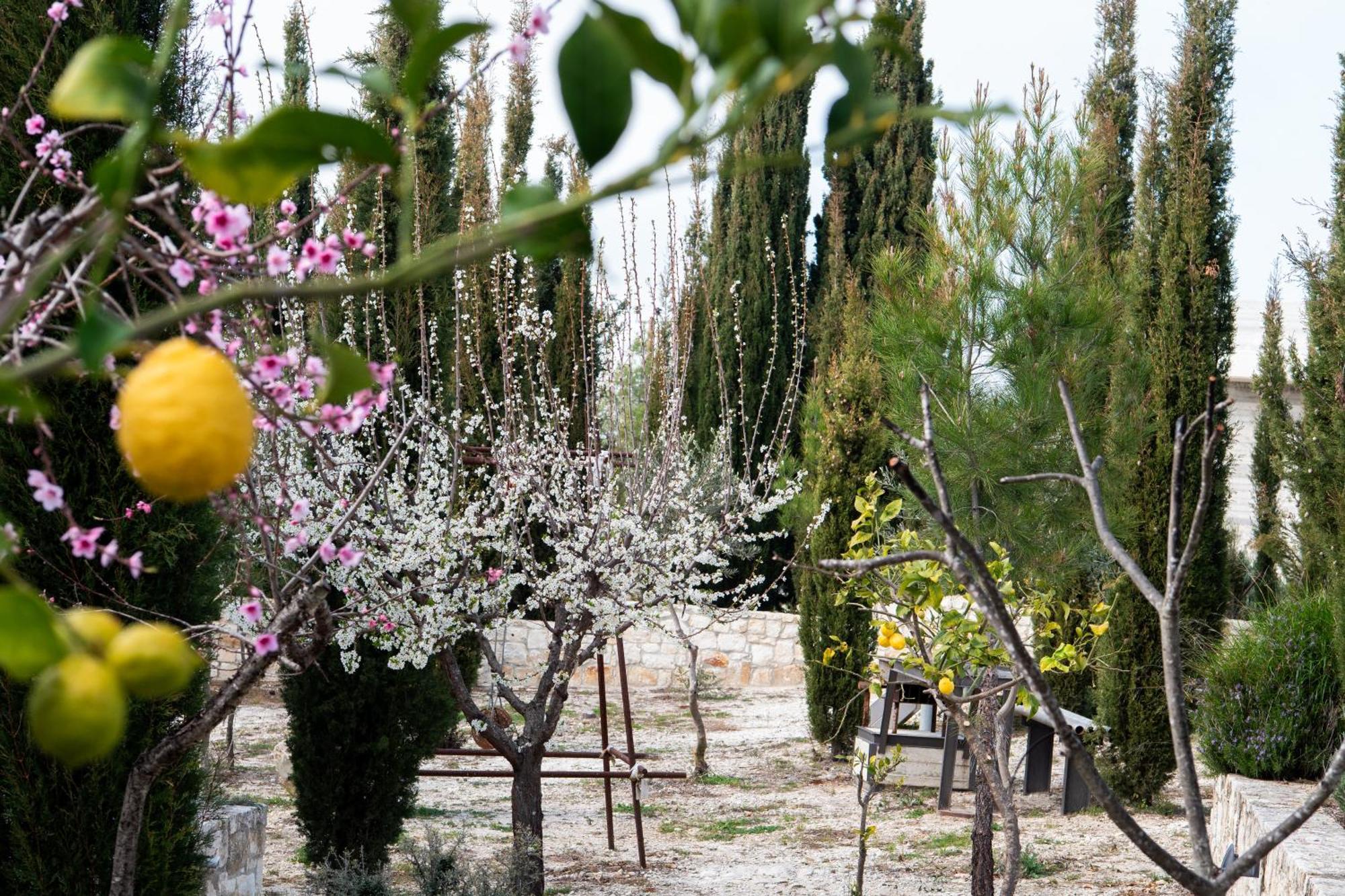 Ayia Marina Villa กาธิกาส ภายนอก รูปภาพ